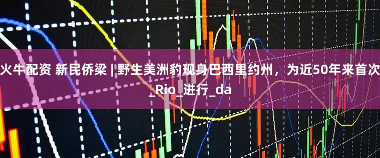 火牛配资 新民侨梁 | 野生美洲豹现身巴西里约州，为近50年来首次_Rio_进行_da