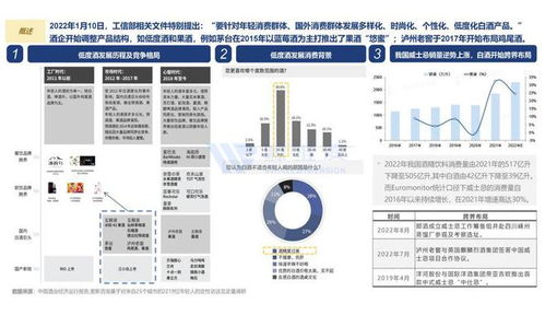 中国白酒出海及行业洞察 下